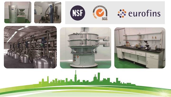 Factory Factory