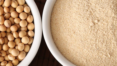 Soybean Extract