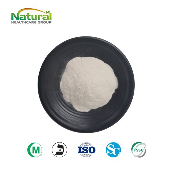 Konjac Rasin Powder
