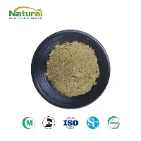 Blan Willow Jape Powder
