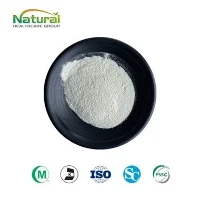 Phytosterols 98%